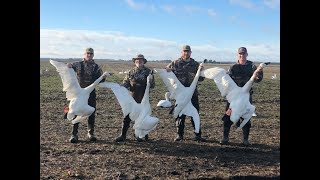 2018 Washington County NC Swan Hunt [upl. by Douglass]