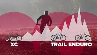 Mountain Bike Comparison XC vs Enduro vs Trail Bikes Explained [upl. by Todhunter952]