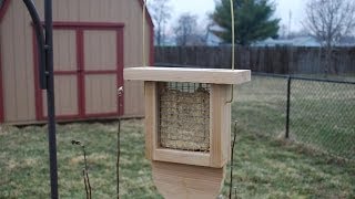 How to Make a Suet Bird Feeder woodloggercom [upl. by Gasper]