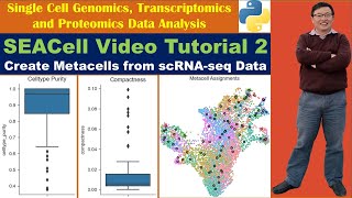 SEACell Video Tutorial 2 Create Metacells from scRNAseq Data [upl. by Sturges]