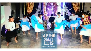 DANZA TORITO PINTO  AFRO SAN LUIS [upl. by Nrev]