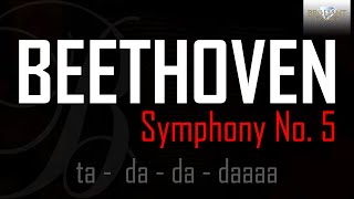 Beethoven Symphony No 5 [upl. by Madid905]