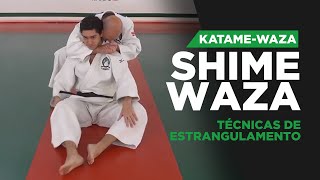 SHIMEWAZA  Técnicas de estrangulamento do Judô 絞 技 [upl. by Kylen273]