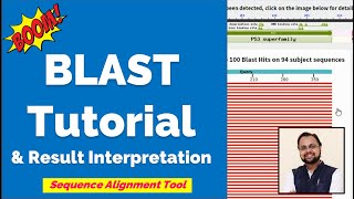 What is BLAST  Tutorial amp Interpretation [upl. by Prevot199]