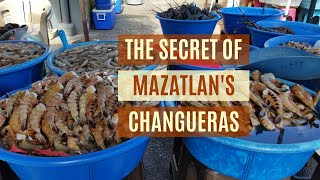 Unique Things to Do in Mazatlan Mexico  The Secret of the MAZATLÁN SHRIMP LADIES LAS CHANGUERAS [upl. by Eiramanin23]