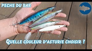 Pêche du bar à lAsturie quelle couleur choisir [upl. by Barra]