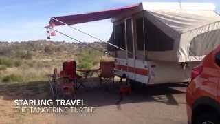 Starling Travel The Tangerine Turtle [upl. by Tigges]