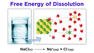 Free Energy of Dissolution [upl. by Shawnee]