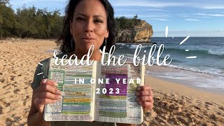 Read and Study the Entire Bible in 2023  Bible Study for Beginners [upl. by Lekram298]