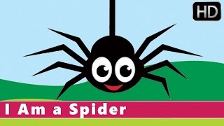 I Am A Spider  Fun Facts for Kids  Animation Nursery Rhyme for Kids [upl. by Eeima]