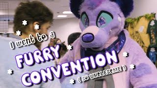 I Went To A Furry Convention [upl. by Euqinitram]