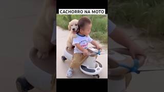 CACHORRINHO BRINCANDO COM O MENINO shorts [upl. by Carter]