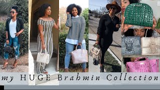 My HUGE BRAHMIN COLLECTION 😱😱  LivinFearless [upl. by Trebleht]