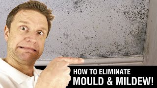 How to Paint over Mould amp Mildew [upl. by Loram220]