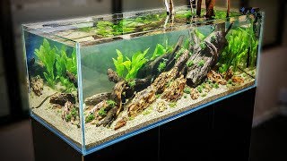 HOW TO AQUASCAPE a 125 gal Nature Aquarium [upl. by Robbie528]