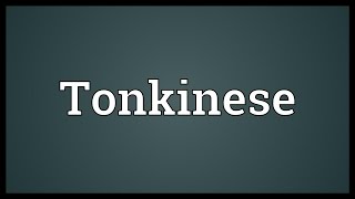 Tonkinese Meaning [upl. by Nivets]