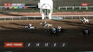 Live Hippodrome « CASABLANCA »  Courses du « 22112024 » [upl. by Martica704]