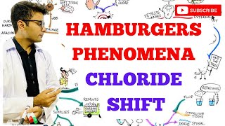 Hamburgers Phenomenon  Chloride Shift [upl. by Arikal]