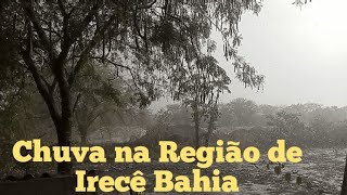 A Chuva Chegou na Região de Irecê Bahia [upl. by Gutow]