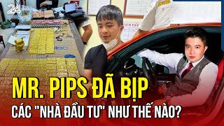 Mr Pips đã bịp các quotnhà đầu tưquot như thế nào  VTV24 [upl. by Zeus]