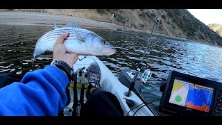 How to kayak fish Pyramid Lake Southern California for beginners [upl. by Otha]