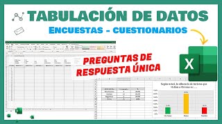 Excel  Tabulación de datos de una encuesta  Para tesis proyectos de aplicación e investigación [upl. by April584]