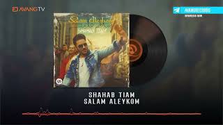 Shahab Tiam  Salam Aleykom OFFICIAL TRACK  شهاب تیام  سلام علیکم [upl. by Truscott]