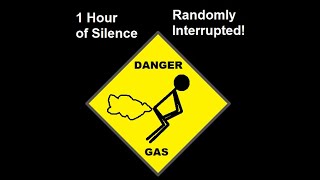 1 Hour of Silence Randomly Interrupted by Farts [upl. by Ynoffit]