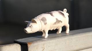 My Cretan Pig [upl. by Phillada]