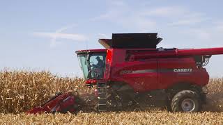 Case IH Narrow Row Corn Head [upl. by Leavelle]