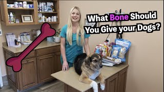 What Bones Can you Give your Dog  DOG BONES [upl. by Omero]