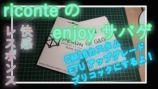 PERUN ETU アップグレード CM16SRS プリコック化【Riconte enjoy サバゲ】23 [upl. by Ativoj133]