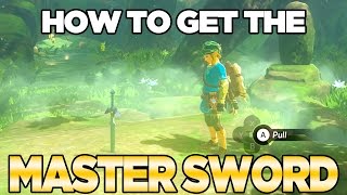 How To Get The Master Sword in Breath of the Wild  Austin John Plays [upl. by Ahseral561]