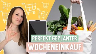 So geht MEAL PLANNING 5 Tipps für deinen Wocheneinkauf Speiseplan Wochenplan Essensplan [upl. by Ainimreh]