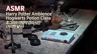 ASMR 스네이프의 호그와트 마법약 강의 시간●지각해 버림ㅠ●해리 포터 분위기 입체음향  Harry Potter ASMR Hogwarts Potions Class Ambience [upl. by Ihsir298]