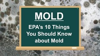 Mold  EPAs 10 Things You Should Know about Mold [upl. by Fotinas]