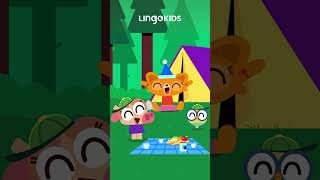 Aprende el abecedario en nuestro campamento 🏕️ cancionesinfantiles abcd LingokidsenEspanol [upl. by Pillow]