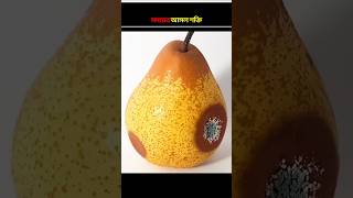 অবাক করার মত ভিডিও  shorts fact trendingshorts [upl. by Akeemahs]