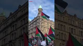 FreePalestine CeasefireNow Seattle Washington London Belfast [upl. by Arahsak]