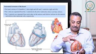 Dr Hossam  Heart 1 [upl. by On232]