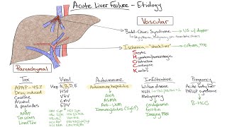 Chalk Talk Acute Liver Failure [upl. by Jo Ann]