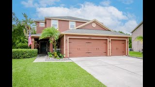 20342 Merry Oak Avenue Tampa FL  ColdwellBankerHomescom [upl. by Couq]