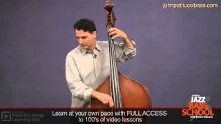 Bossa Nova Bass Lines John Patitucci [upl. by Yatzeck]