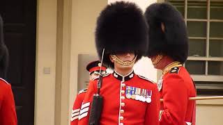 Nijmegen Company Grenadier Guards [upl. by Karlotta623]