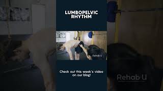 Lumbar Pelvic Rhythm HIP COMPLEX [upl. by Ennairrac]