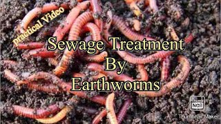 Sewage treatment by earthworms  site video [upl. by Aleacim278]