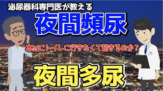 【夜間頻尿】or【夜間多尿】👉排尿日誌📝・原因・治療 [upl. by Lawson]