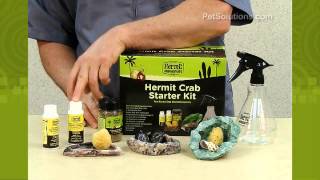 PetSolutions Flukers Hermit Crab Starter Kit [upl. by Aimik]