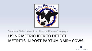 Using Metricheck to detect metritis in postpartum dairy cows [upl. by Levitus]