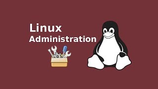 How to Add a Program to Your Path Environment Variable in Linux [upl. by Ahcurb]